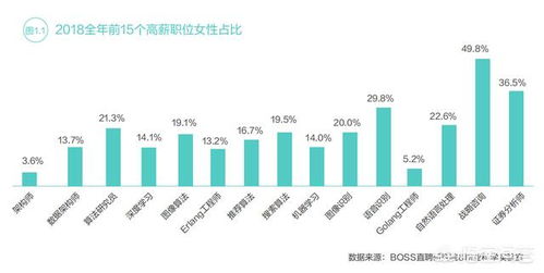 工程計算、計算機科學與技術、軟件工程、信息工程及信息技術咨詢 薪酬對比與職業前景分析